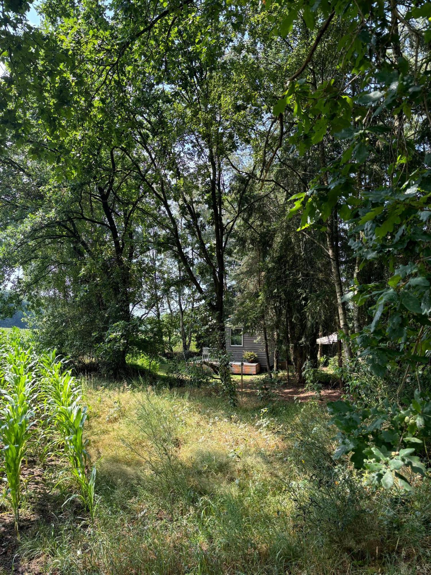 Tiny House Mit Garten In Der Lueneburger Heide Soltau Extérieur photo